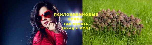 прущие крисы Зеленодольск