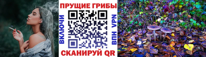 Псилоцибиновые грибы Psilocybe  Купить где  Ирбит 